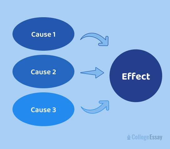 cause and effect essay writing