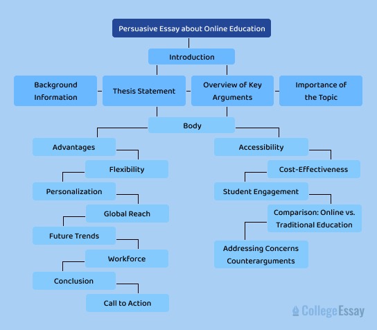 persuasive essay about online education