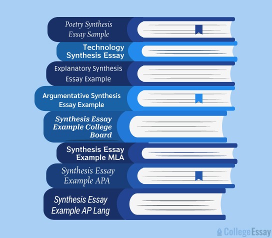 Synthesis Essay Example